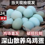 农家土鸡蛋新鲜绿壳乌鸡蛋月子孕妇宝宝深山散养谷物当天现发