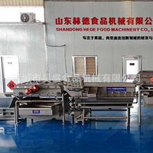 多功能高底涡流清洗线 龙须菜连续式清洗设备 豌豆苗气泡清洗机