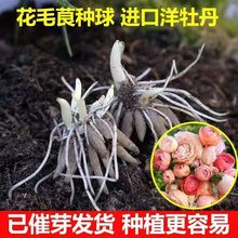 ѿl؛MĵNذ껨ëݢ҃⻨ܶͺ