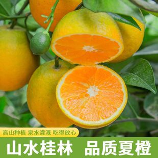 ����Ʒ�|���V�������ĳȮ����Fժ���r���ӑ���ˮ��ե֭���÷�Ě��