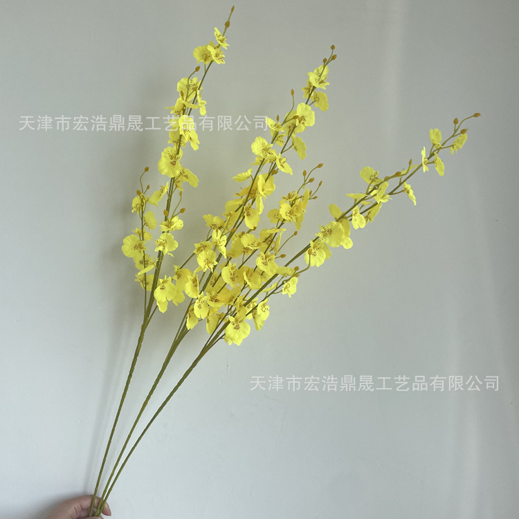 微信图片_20220530152632_副本