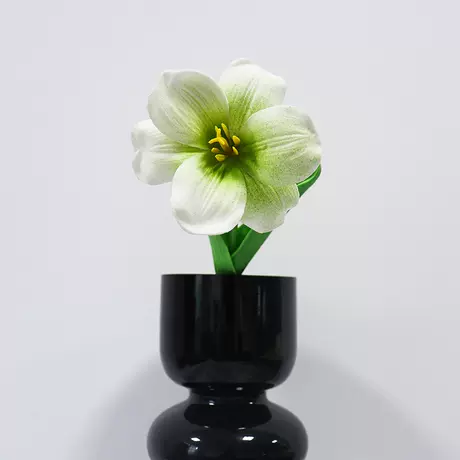 green brownie tulip