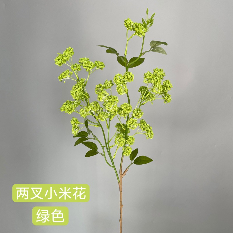 샤오미화