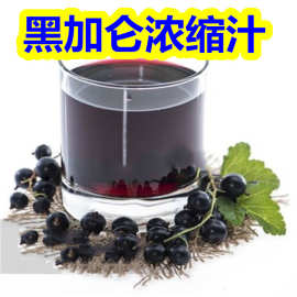 黑加仑汁 黑加仑浓缩汁 浓缩黑加仑汁 黑加仑口感突出 黑加仑味浓