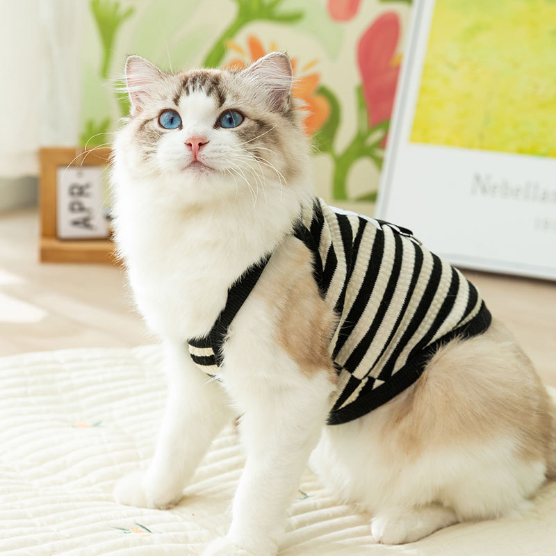 Gato Verano simple rayado tracción Sling perro verano Delgado estilo coreano carta mascota ropa de perro de dos patas