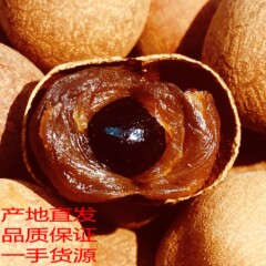 産地新品10a大果高州特産龍眼乾桂円乾貴園帯殻小核肉厚500g袋