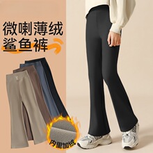 厂家直销女童微喇鲨鱼裤秋冬新款中大童女孩打底裤薄绒儿童微喇裤