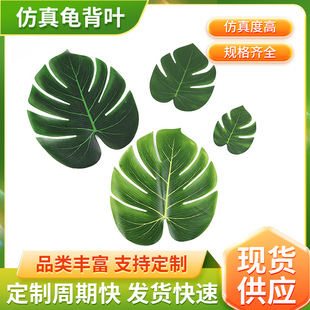 �����~�Ҿ��bGֲ��c���Է���ֲ��҃���͉|���������~��