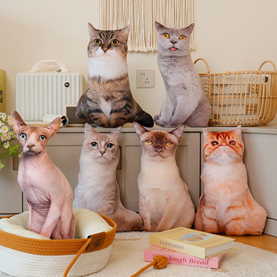 �羳3D����؈�䱧��ë�q������w����ӡ��؈�俿���������^�Y����