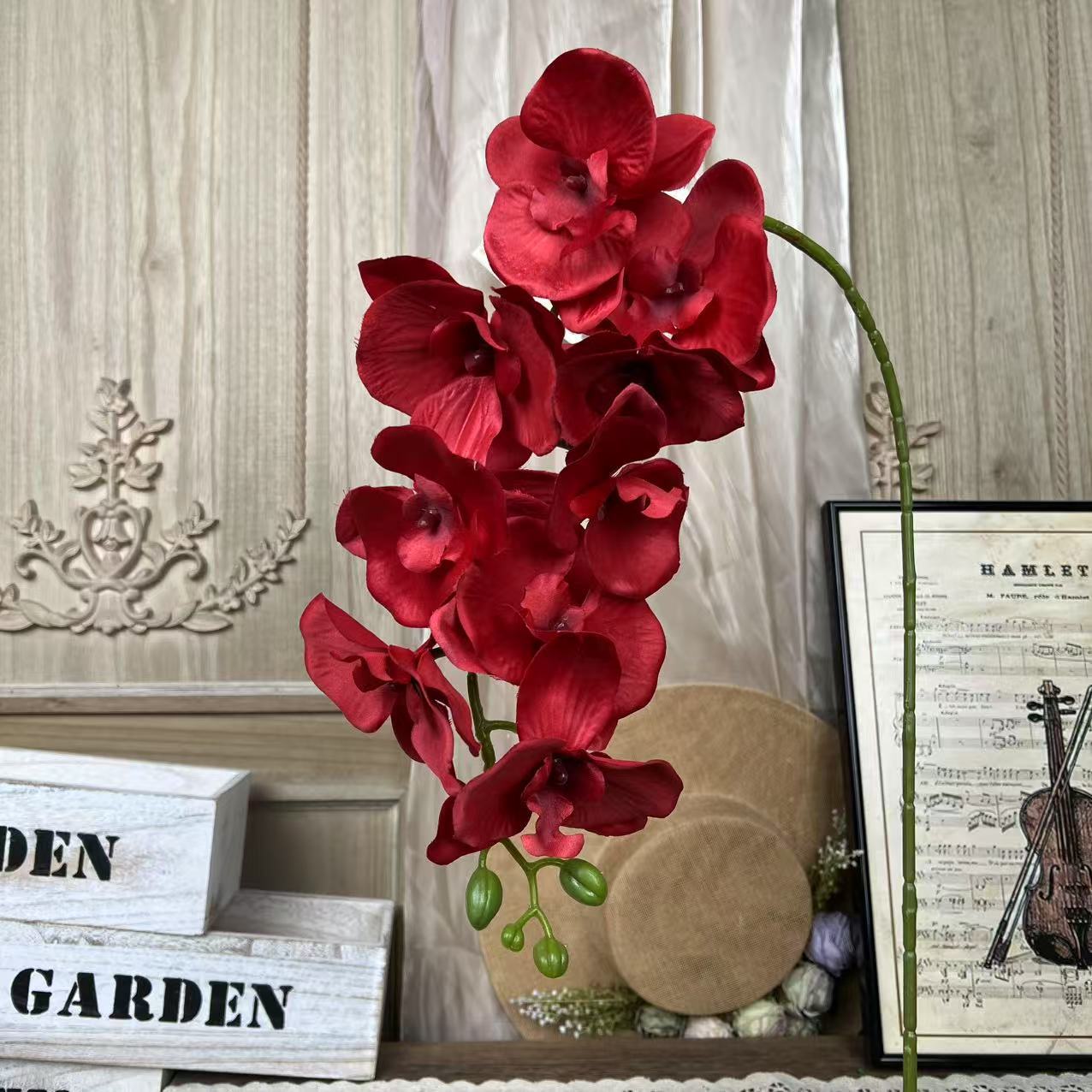 XD-Pano Phalaenopsis-Vermelho