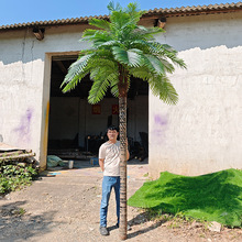 真树杆仿真椰子树茂密配叶热带造景装饰假树绿植假椰树配大展叶