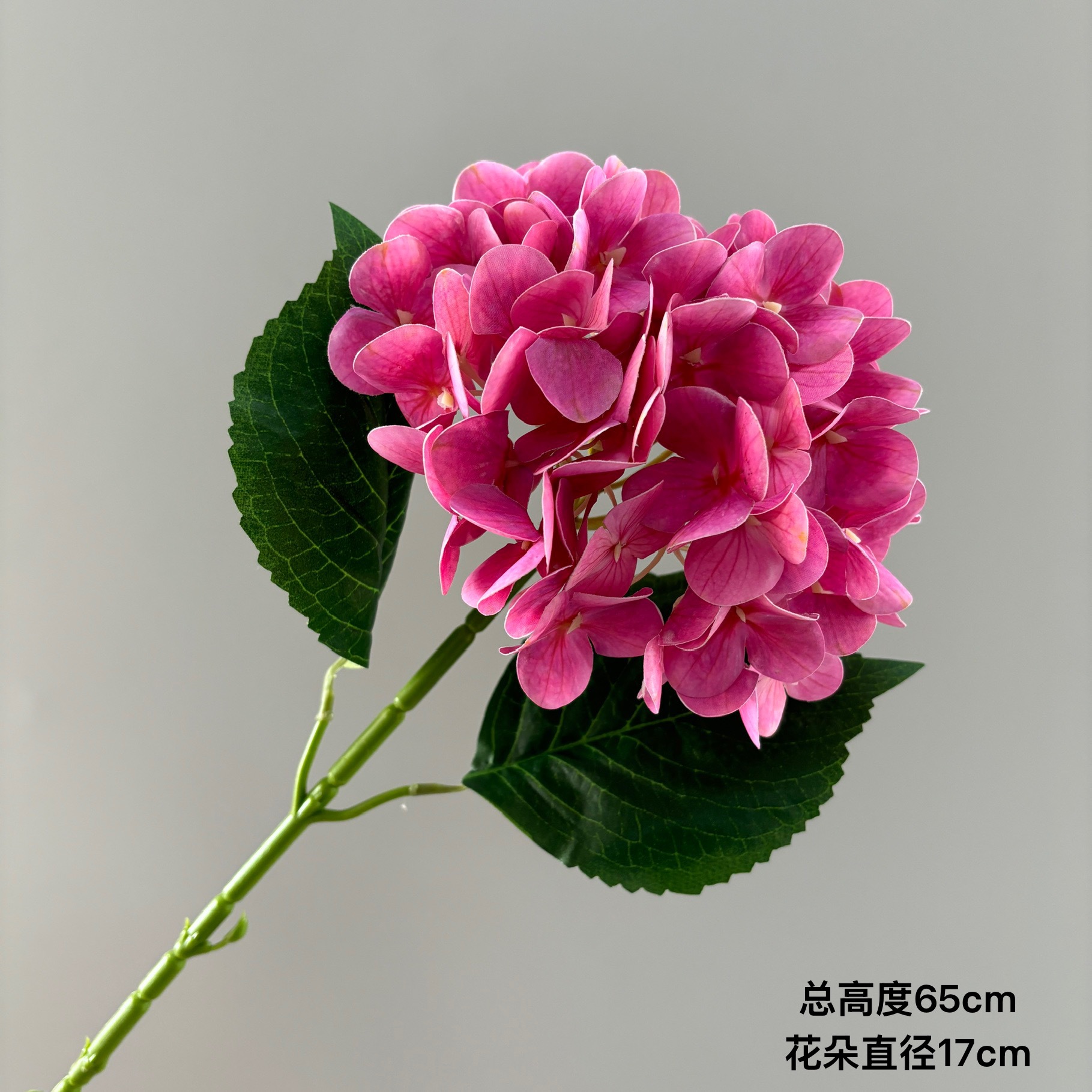 3D 프린팅된 수국·