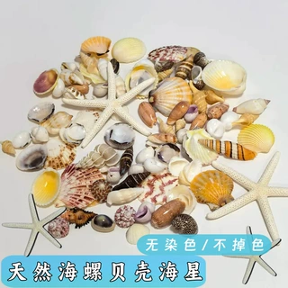 店铺热销纯天然小贝壳海螺珊瑚混装海洋瓶星空漂流瓶手工diy