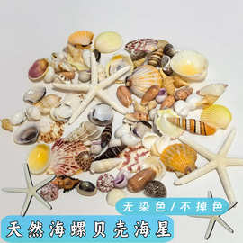 【店铺热销】纯天然小贝壳海螺混装海洋瓶星空漂流瓶手工diy材料