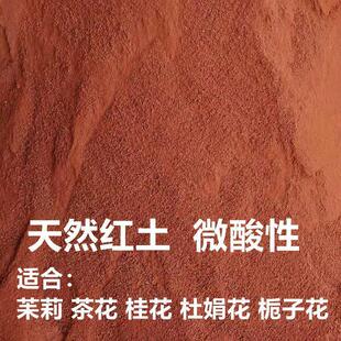 �����Լt����ɽ�������Լtɳ�����軨�����N������