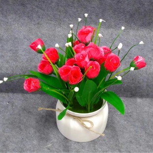 �羳 ���Q �M�����辰   ����õ�� �ҾӲ廨 �Ƶ�[����� ���컨
