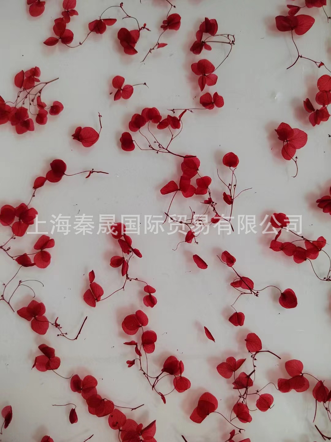 上海秦晟亚克力新品花瓣板 HB系列 PMMA装饰有机玻璃 亚克力花