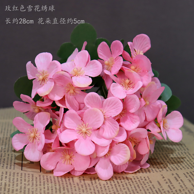 Rosa rojo copo de nieve Hortensia