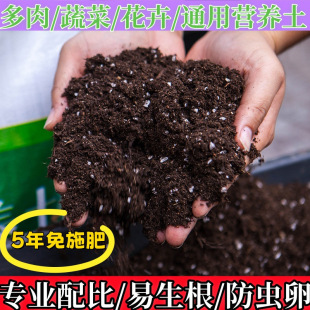 Nutrient Soil for Flower Cultivation, General-Purpose Special Vegetable Soil, Planting Soil, Green Plants, Succulent Seedlings, Household Potted Flower Soil