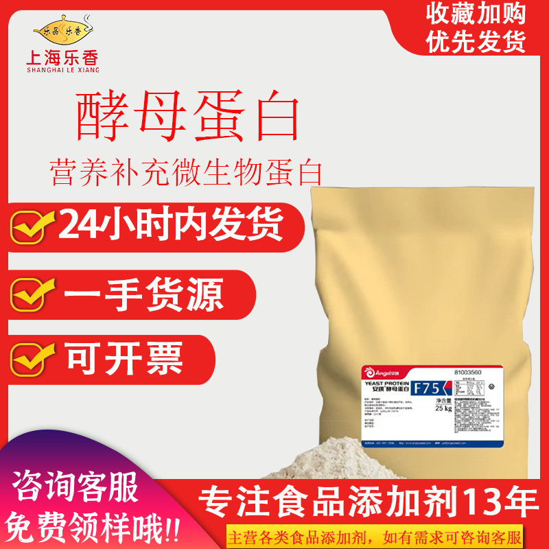 Angel Yeast Protein F80 Microbial Protein New Food Raw Material Flavor Yeast Nutrition Fortified Yeast Protein