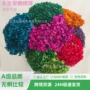 云南婚礼家居布置真花