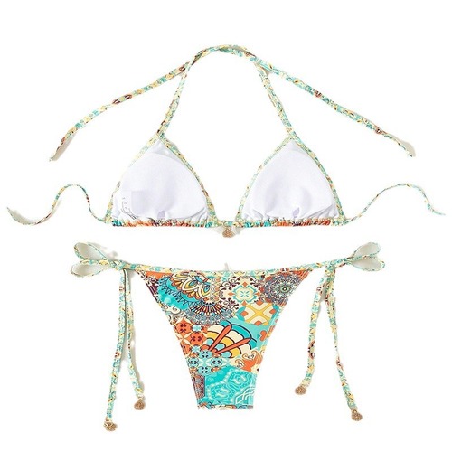 Bikini Swimwear 2025 European and American Printed Sexy Bikini Beach Hot Spring Swimwear for Women