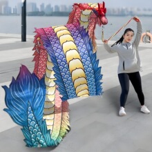 广场舞中老年人男女健身龙带甩彩带中国飞龙钢架龙头舞龙表演道具
