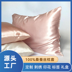 亚马逊22姆米真丝枕套拉链款100%桑蚕丝枕套亮面缎真丝枕头套跨境