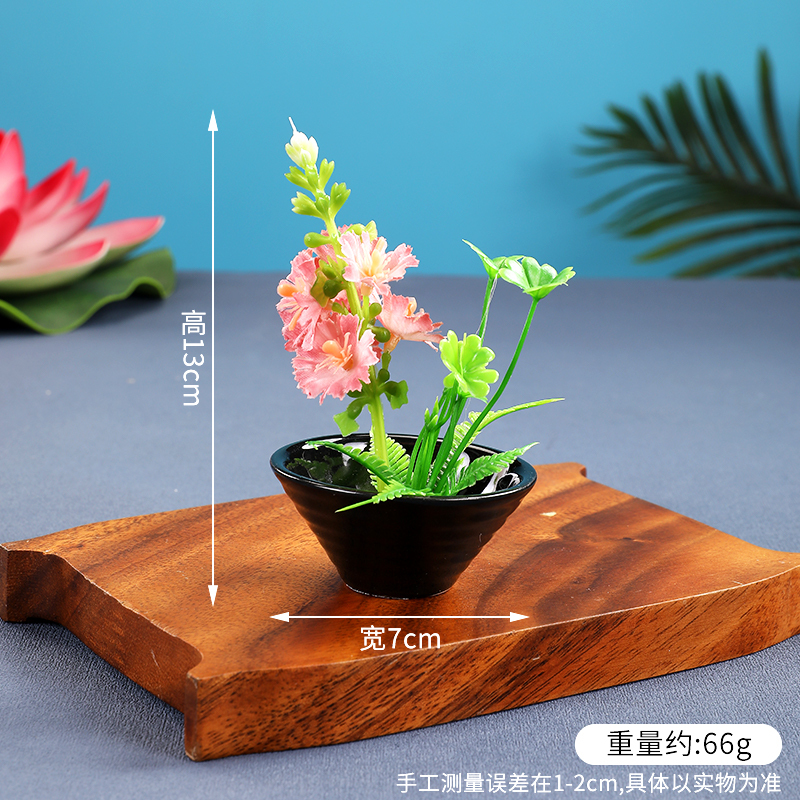 酒店菜品摆盘装饰点缀冷菜装饰花草摆盘刺身绿毛球三文鱼摆件围边|undefined