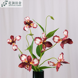 ���Sβ�m���滨 �����z3�^��c�ҾӲ�߅���b廨���ļٻ��[��