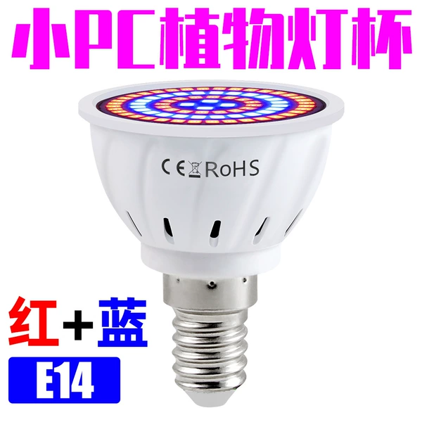 [48珠-E14]