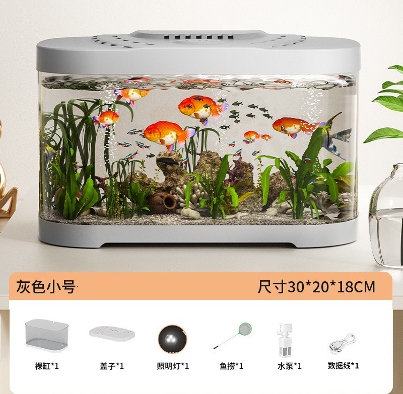 Nuevo tanque de peces transparente pequeño paisaje completo ecológico transparente casa sala de estar tanque de peces fábrica al por mayor
