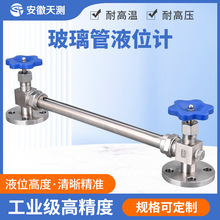 有机玻璃管水位计 X49W不锈钢直视只读式四氟管防腐玻璃管液位计