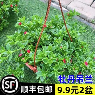 ĵ�����m���������Դ���ֲ���҃ȃ����՚�����ȩ�Gֲ�̨�ļ��_��