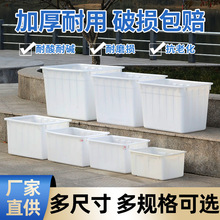 塑料箱白色加厚塑料批发塑料水箱注塑泡瓷砖长方形水产养殖箱水箱