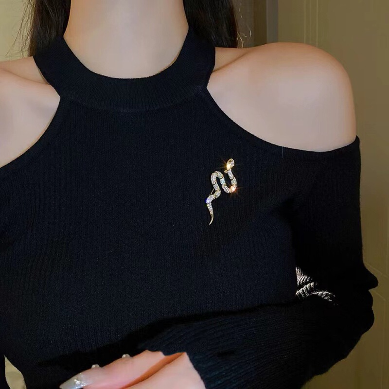 European and American Snake-shaped Brooch Women's 2024 New High-end Sweater Pin Design Niche High-end Exquisite Accessories