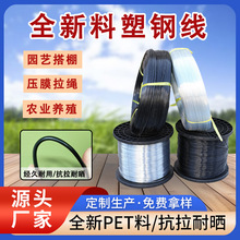 PET��䓾��������ߏ�����Ļ���������Ѽܺ���Ĥ�����Ҍ��þ�����