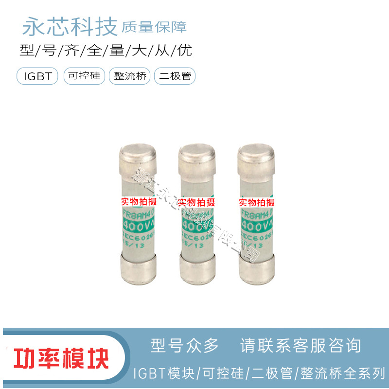 供应FR8AM40V8   FR8AM40V10全新方形熔断器快速保险丝优势现货