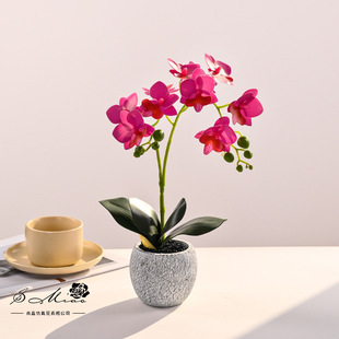 Two-Pronged 10-Flower Phalaenopsis Bonsai Artificial Flower Fashion Creative Flower Decoration Ornaments Artificial Green Plant Artificial Potted Plant