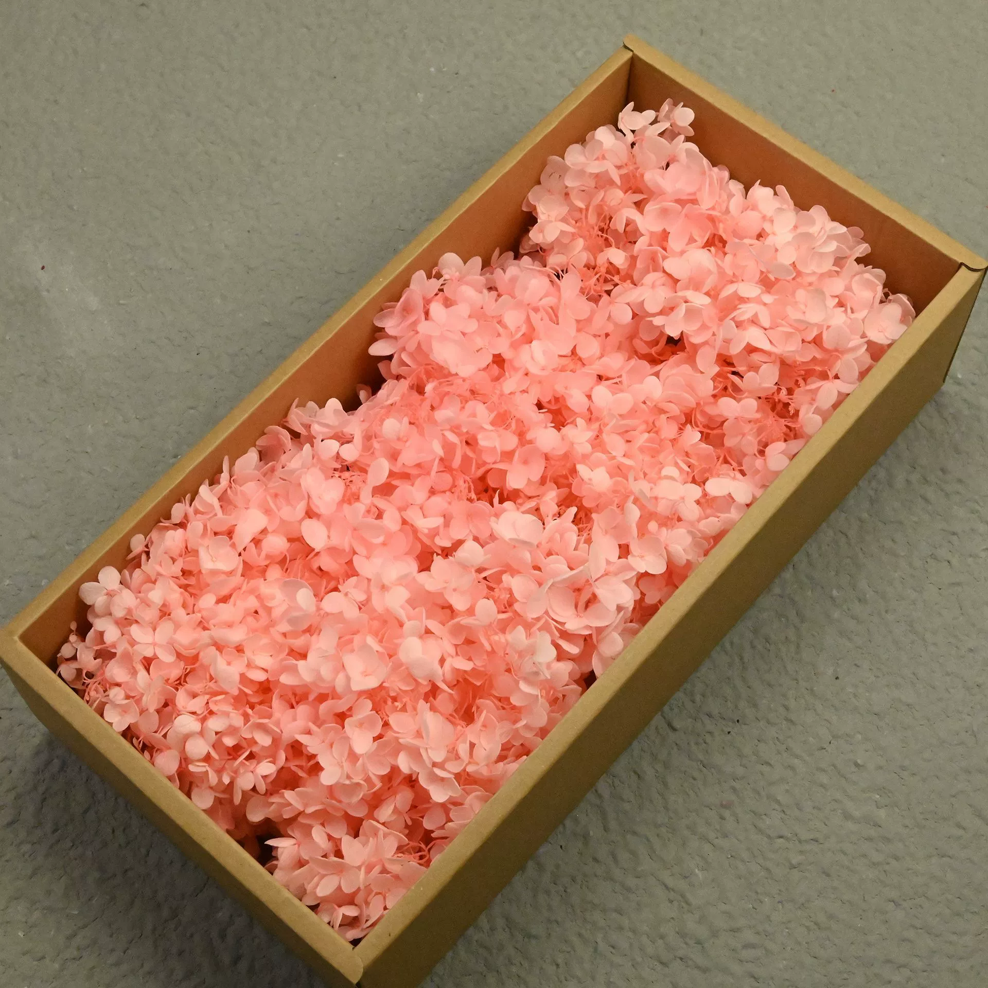 Грандиозная фиксация AB grade древесная гортензия 100 г день рождения настоящий цветок материал DIY материал сухоцвет украшение подарок девушке