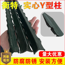 ţ�ھW�F�z�W�������T�F���ǌ��������^���Ӻ��Bֳţ�������ھW