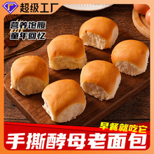 ��ĸ�����Ӫ����˺����伢ҹ����˾��ʽ�����������ʳ��H504��