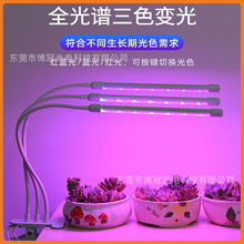 ֲ�����L�������a�����ɫ��̫�USB�A��ʽLED�������҃ȼ�������