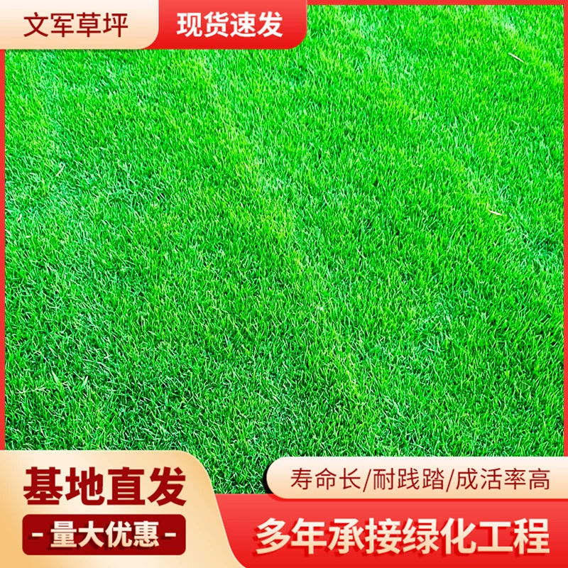 Оптовая фруктовая трава газон сообщество сад зеленый цветок инженерный газон Футбольное поле для гольфа Парк