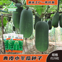 ����С���ϷN����Ƥ��GС��ë���ϷN�����㹝�ϴ����＾ͥԺ�N��