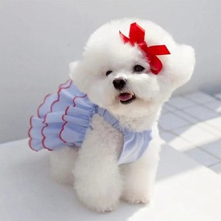 Summer Thin Pet Princess Skirt Teddy Bitter Bitter Fa Dou Corgi Cat Dress Clothes Supplies