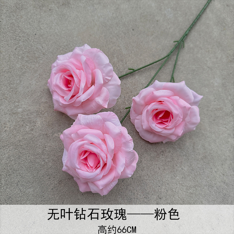 Rose de diamante sin hoja rosa