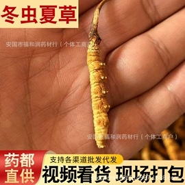 其他药食同源;陈皮;代用/养生茶