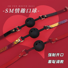 sm情趣玩具硅胶口塞口水球系列成人用品刑具夫妻惩罚调教刑具代发