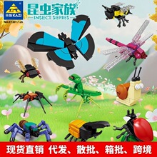 �_�Ƿeľ2017-2026���xϵ�н̌W����ģ�ͿƌW�^չƷ�[��С�����